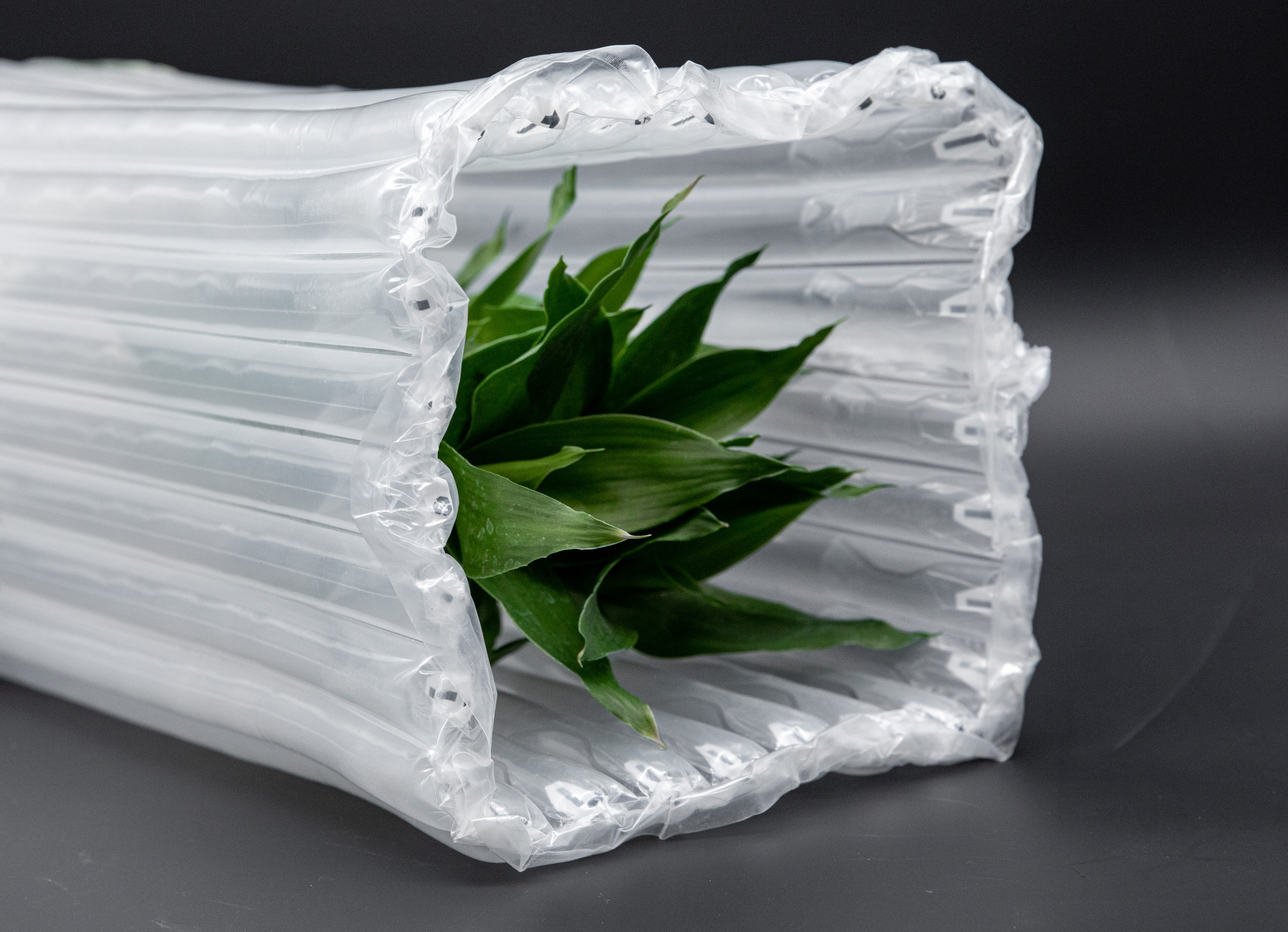 Bolsa de columna de aire transparente de alta calidad para productos de vidrio
